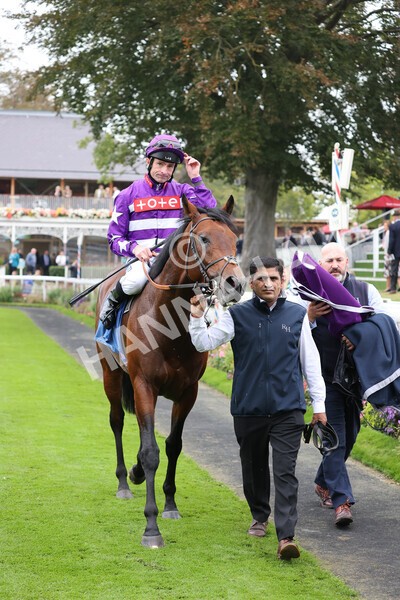 yr09102021r1-55 - Race 1 1.30pm Watch Racing Free Online At Coral Nursery Handicap