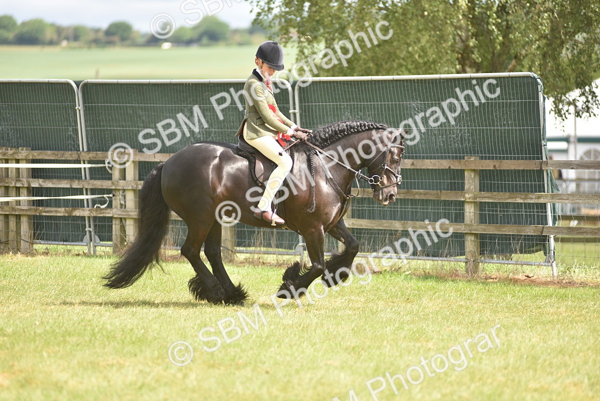 SBM_12172 - Class 110-112 - LIHS BSPS Performance Pones