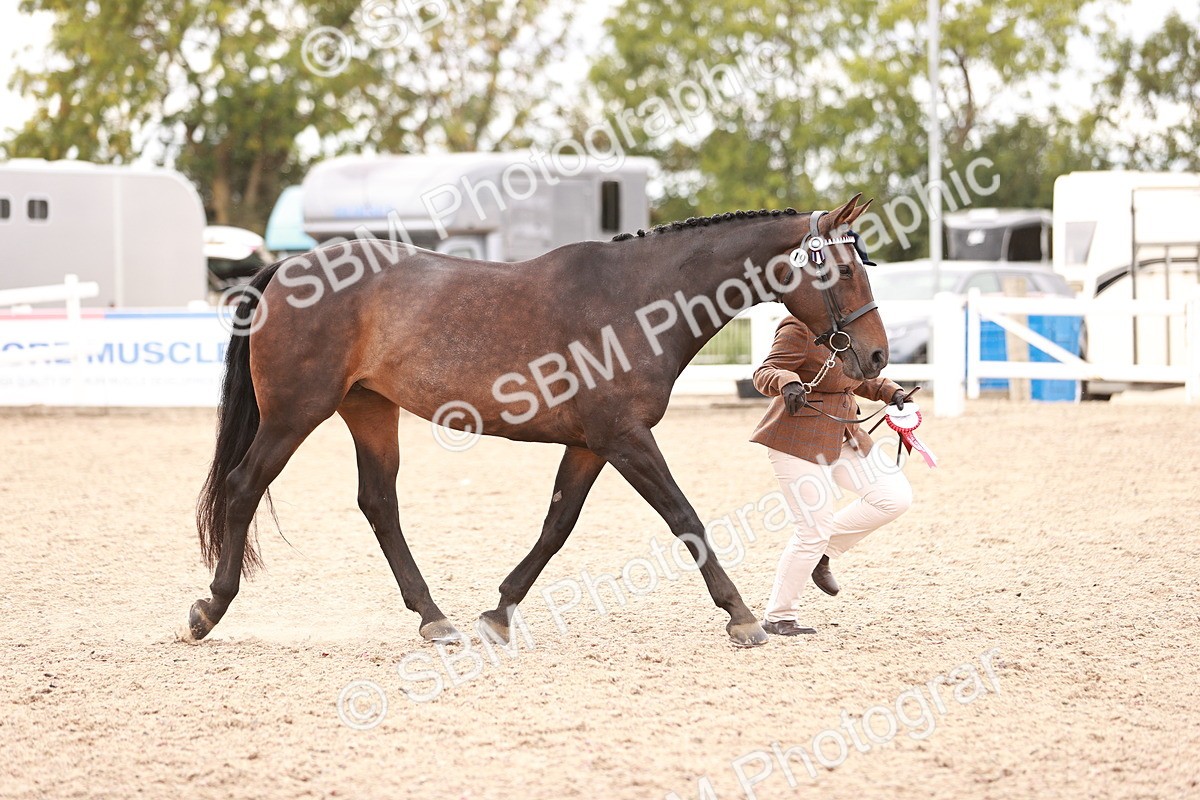 SBM_16378 - Class 413 - Best Condition - Adult