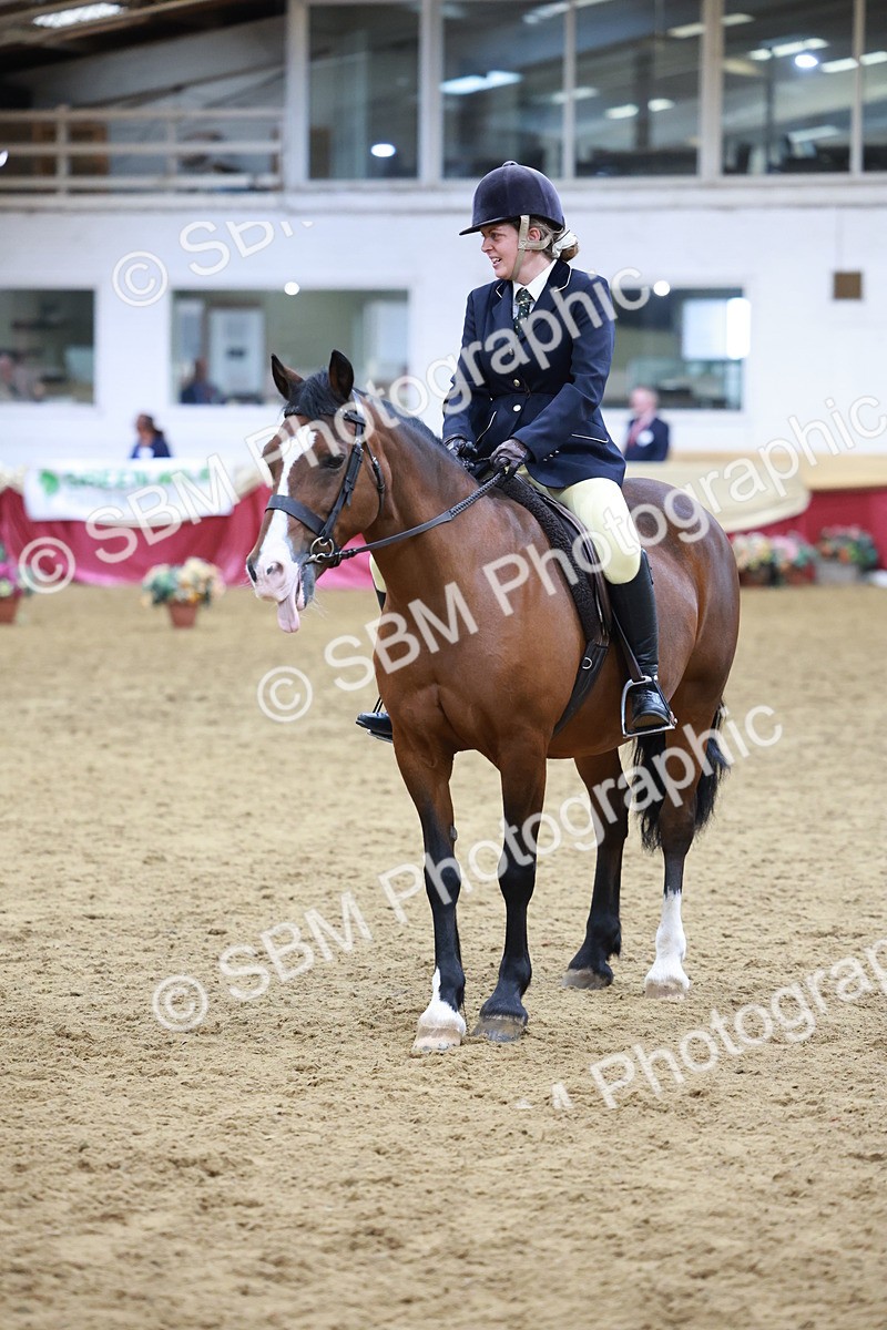 SBM_18834 - Class 952 - M&M Ridden Supreme Final