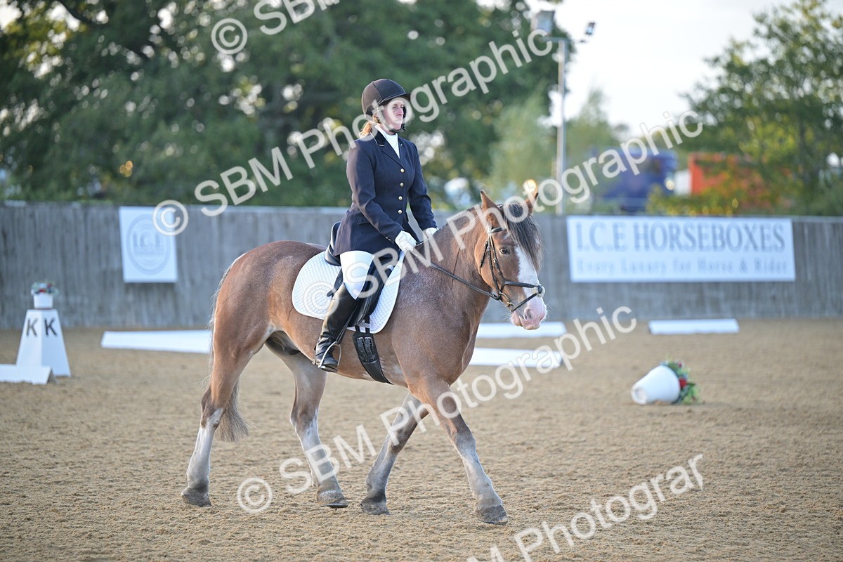 SBM_13523 - D3 - Small Tour Championship Intro 3
