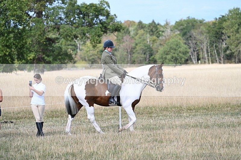 WJ7_6666 - Class 14 Ridden Coloured