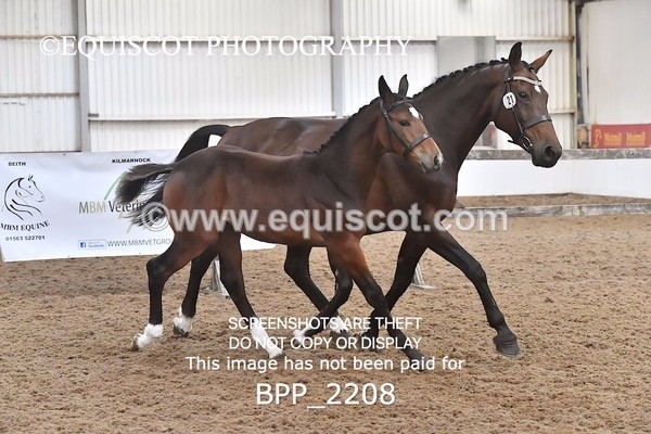 BPP_2208 - AFTERNOON 12.30 - 3.30PM