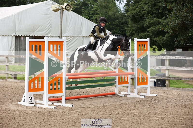 240804-133249-14299 - 555-Jack_Wish-WESTERLAKE_BUTTONWEED