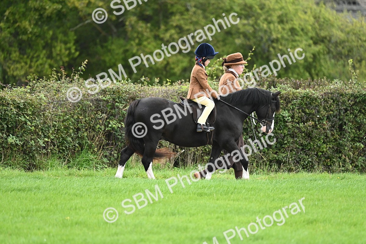 SBM_26542 - S7 - Novice & Newcomer Ridden Pony