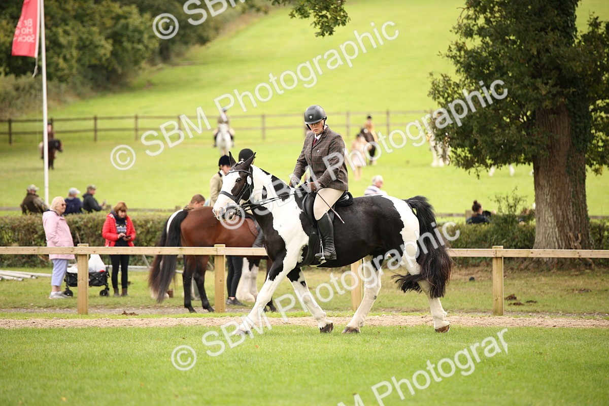 SBM_72373 - S67 - Show Cob Ridden