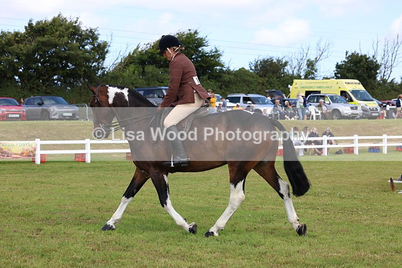 3E7A9965 - Class 5: Rising Star Lightweight/Heavyweight Cobs