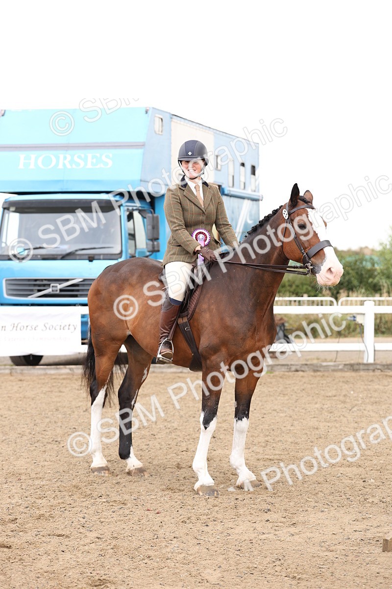 SBM_02953 - Class 53 - Ridden Competition Horse/Pony