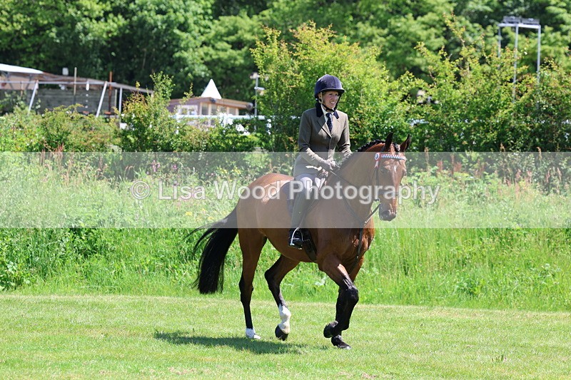 3E7A7520 - Class 31: Working Hunter Cob/Riding Horse