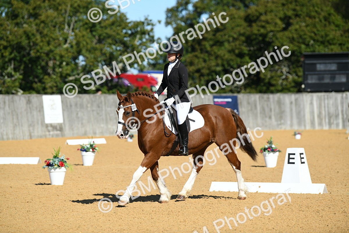 SBM_18024 - D4 - Small Tour Championship - Intro B