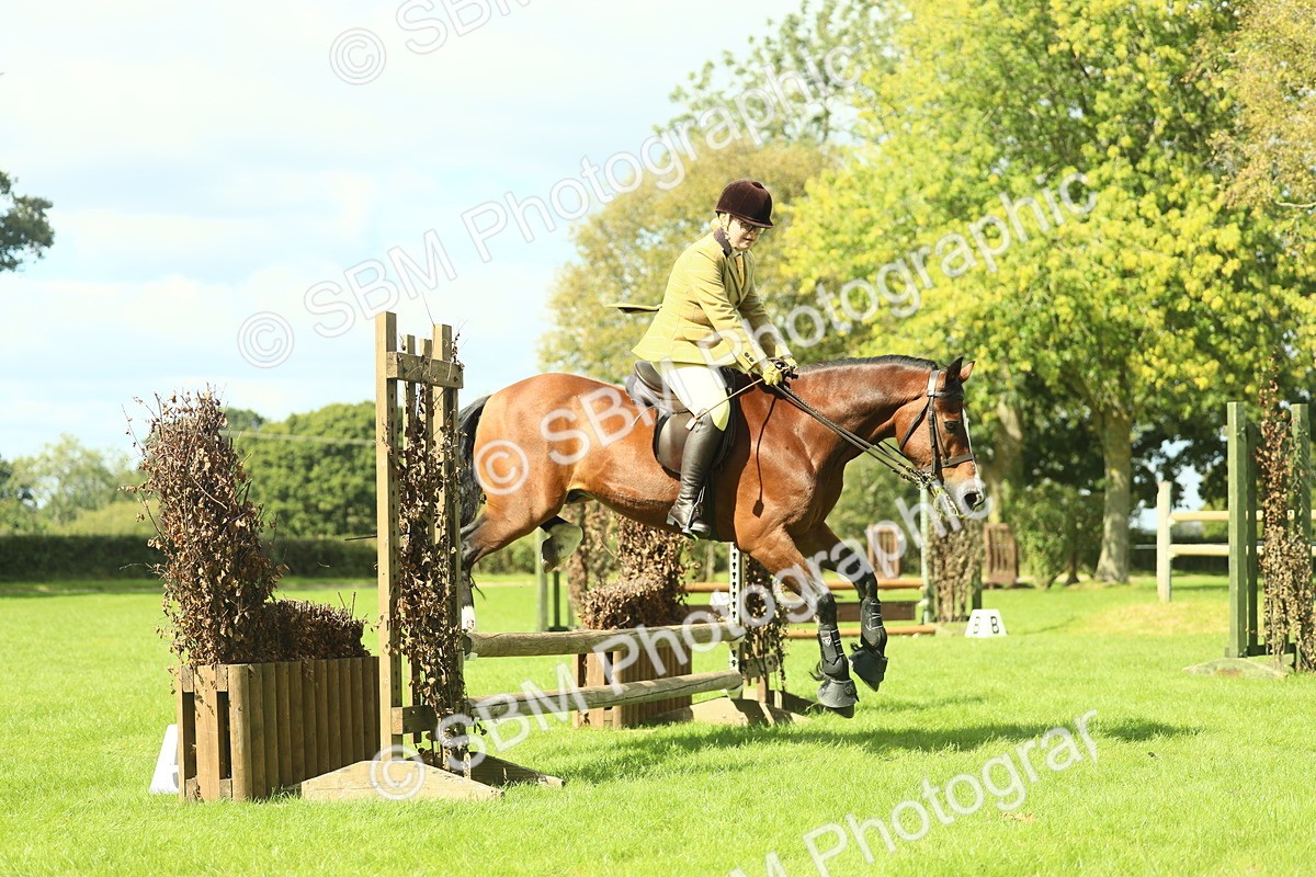 SBM_42970 - S30 - M&M Working hunter Pony