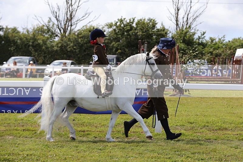 1X9A5069 - Class 36: NPS M&M Lead Rein