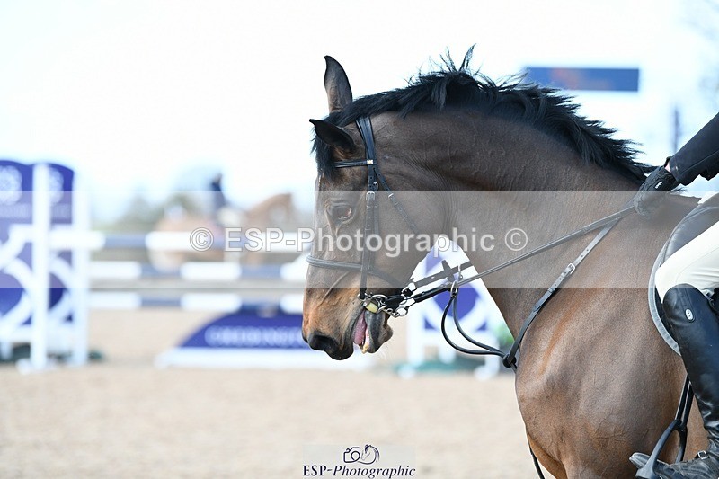 250328-125614-01093 - Cls 3 Snr Foxhunter