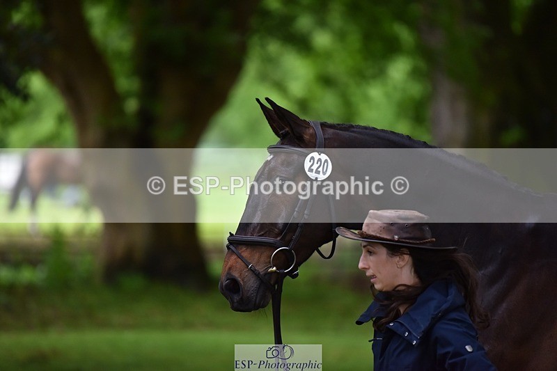 240522-164650-01149 - 220-BALLINAMURRA_FLARE_STAR-Mary_Mason