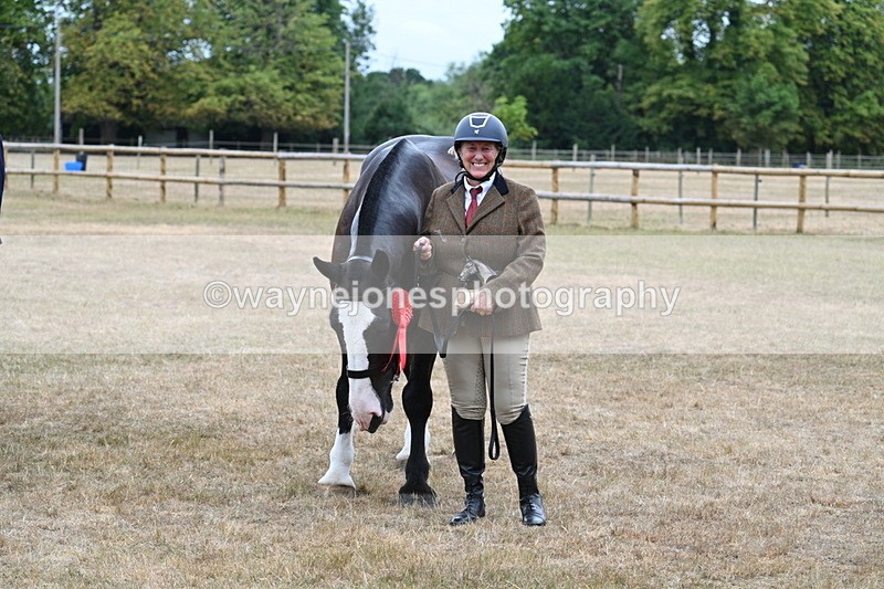 WJ7_0212 - Gelding Champs