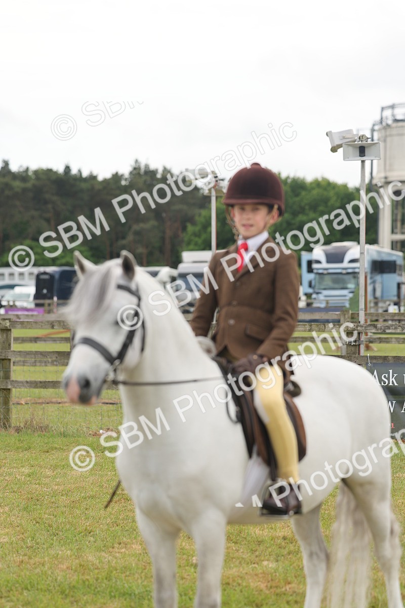 SBM_06882 - Class 74-75 - M&M Lead Rein and First Ridden Pony