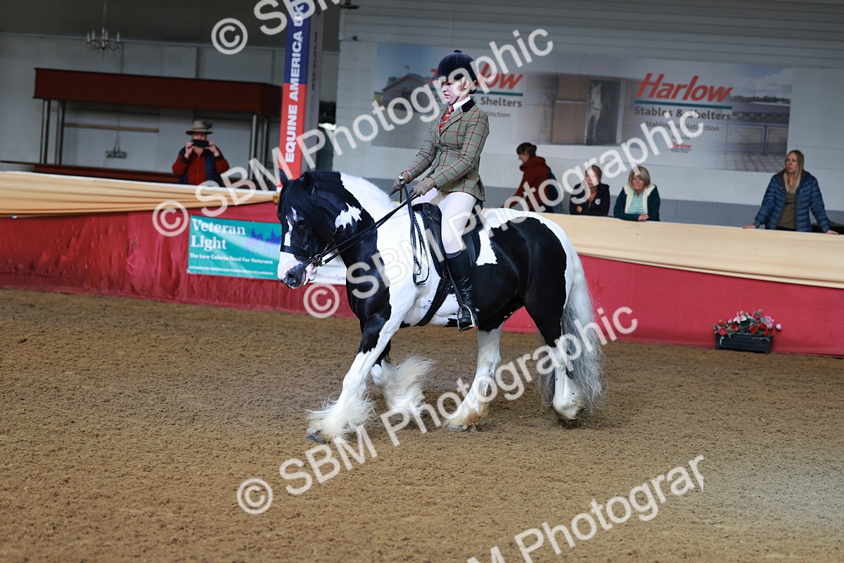 SBM_11892 - Class 102 - Equitation (Best Rider) Adult