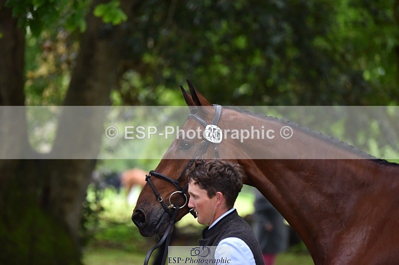 240522-171444-01477 - 256-QUINTUS-Tom_McEwen