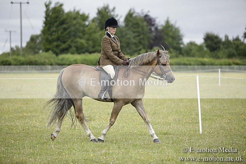 BVR160717-1290 - Ring 1 BVRC Show 16/07/17