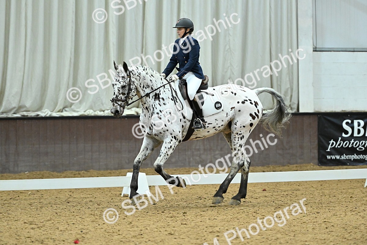 SBM_007515 - Class 81 - Novice 3