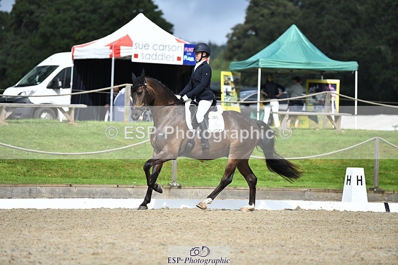 230812-104508-03462 - Cls 6 Novice Silver 10.30 to 11.55 break