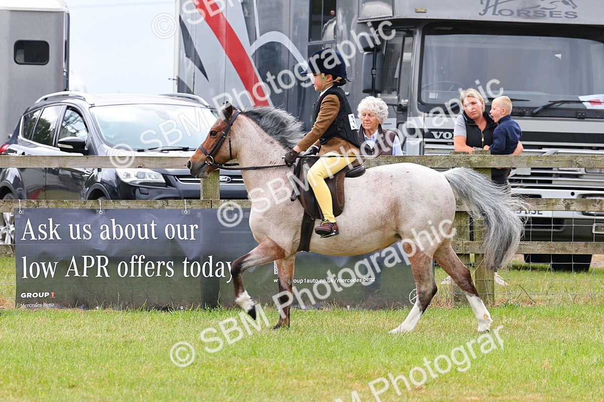 SBM_08602 - Class 42-43 - LIHS BSPS Heritage Working Sports Pony