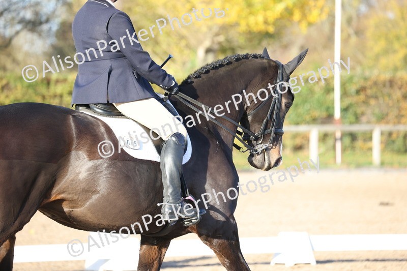 20251102-1282 - Class 9 - Advanced Medium 3