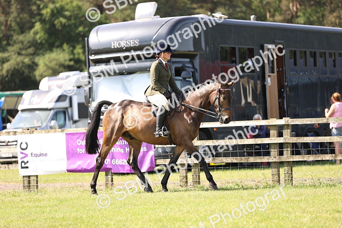 SBM_12970 - Class 75-76 LIHS BSHA Rising Star Hack Riding Horse