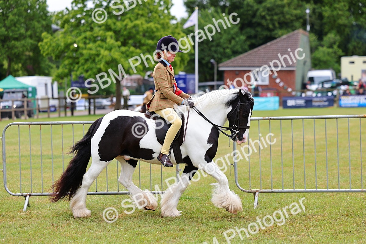 SBM_02606 - Class 9-11 Side Saddle including LIHS Rising Star Ladies Show Horse