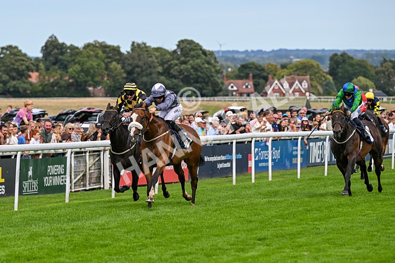 300826-Race 5-Harb-1093 - Race 5 3.55pm Constant Security Handicap