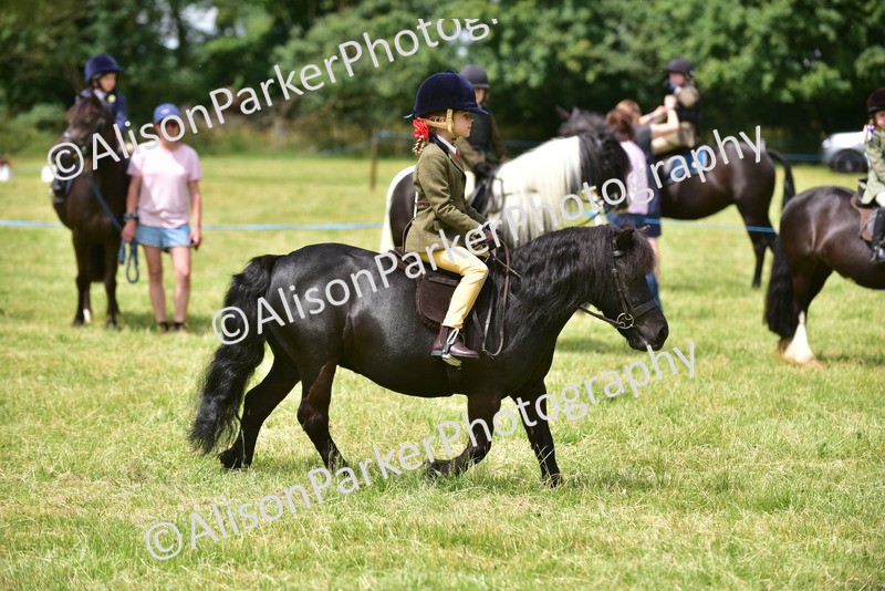 20260614-3646 - Class 15 - Prettiest Mare