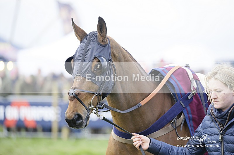PtP 060322 200 - Blackmore & Sparkford Vale Hunt PtP 06/03/22