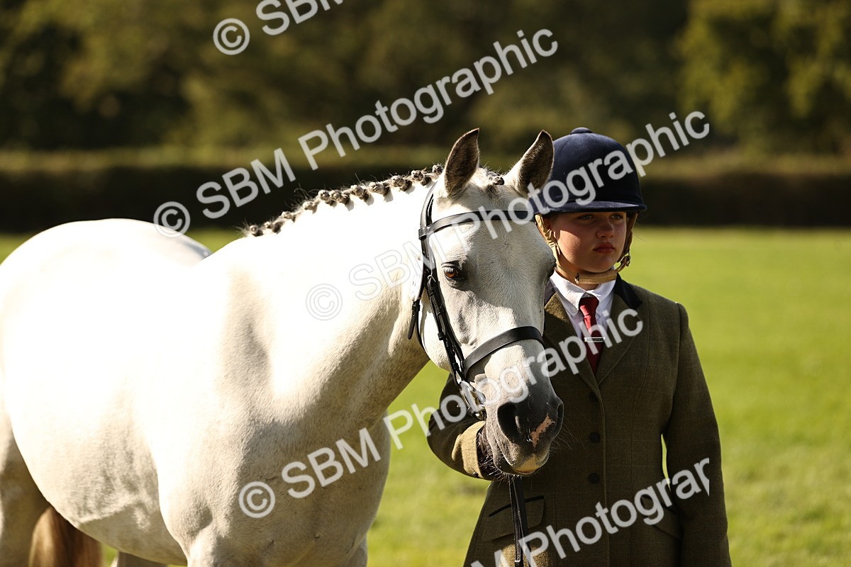 SBM_26200 - S5 - Novice & Newcomers In Hand