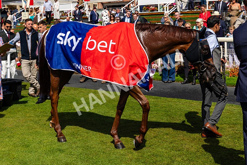 220826-Race 1-Archivist-0286 - Race 1 13.50pm Sky Bet Strensall Stakes