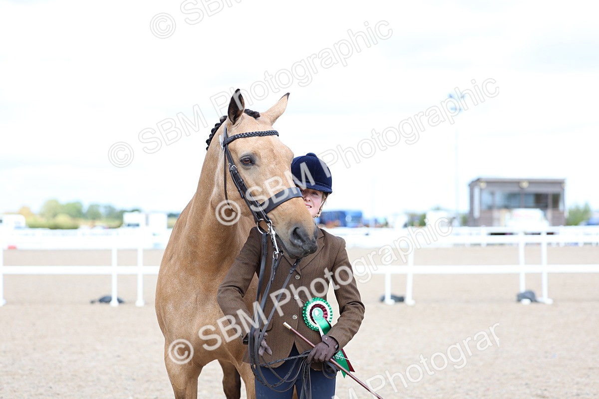 SBM_15445 - Class 312 - IH Competition Horse-Pony