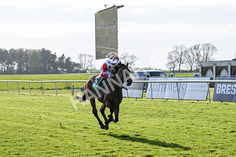 200424-Race 4-Shartash-6665 - Race 4