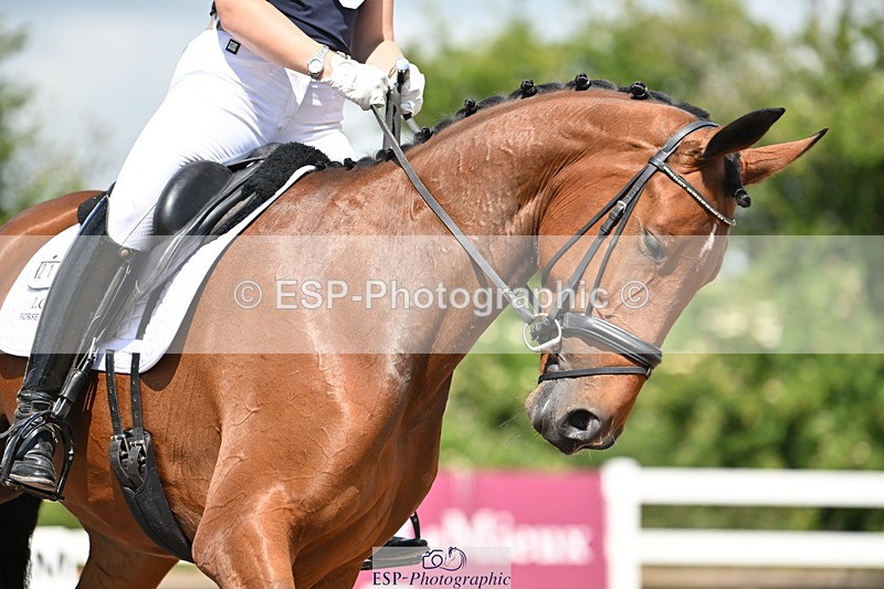 240621A-110426-01506 - Cls 4 BD Novice 22