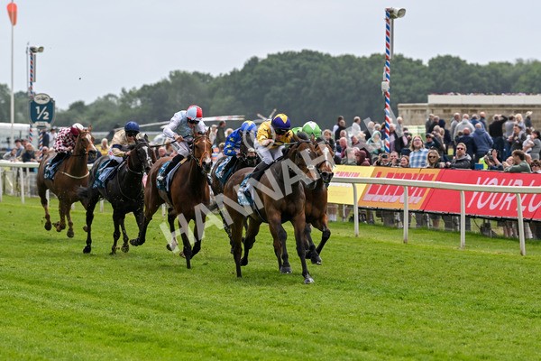 150525-American Affair-3670 - Race 1 2.10pm Lindum York Handicap