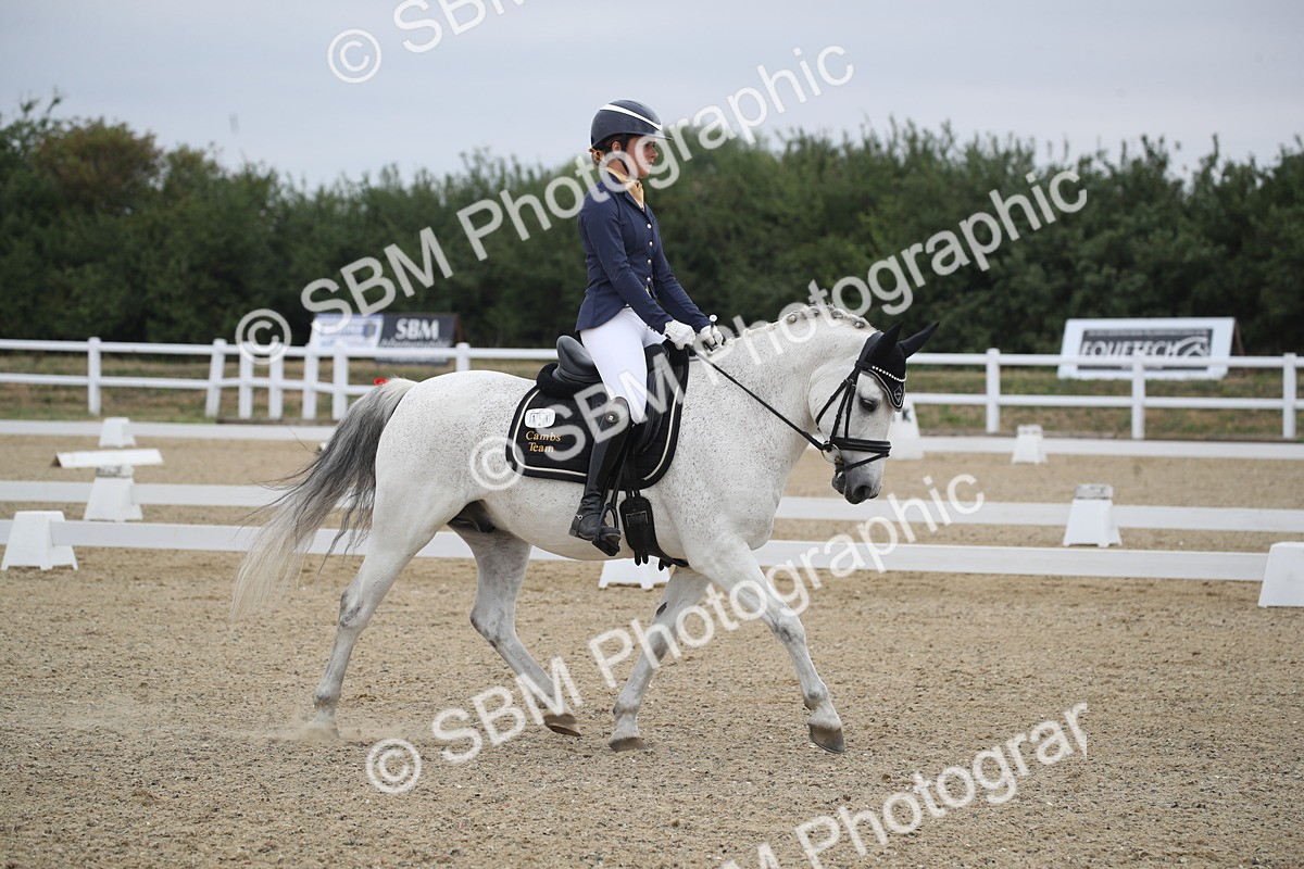 SBM_005542 - Novice 5 - 8.30.10.39