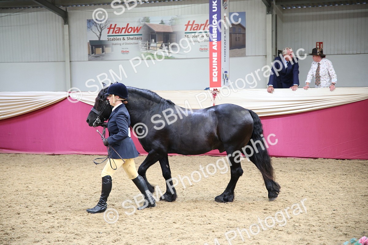 SBM_24267 - Class 905 - Supreme Final - Ridden Veteran