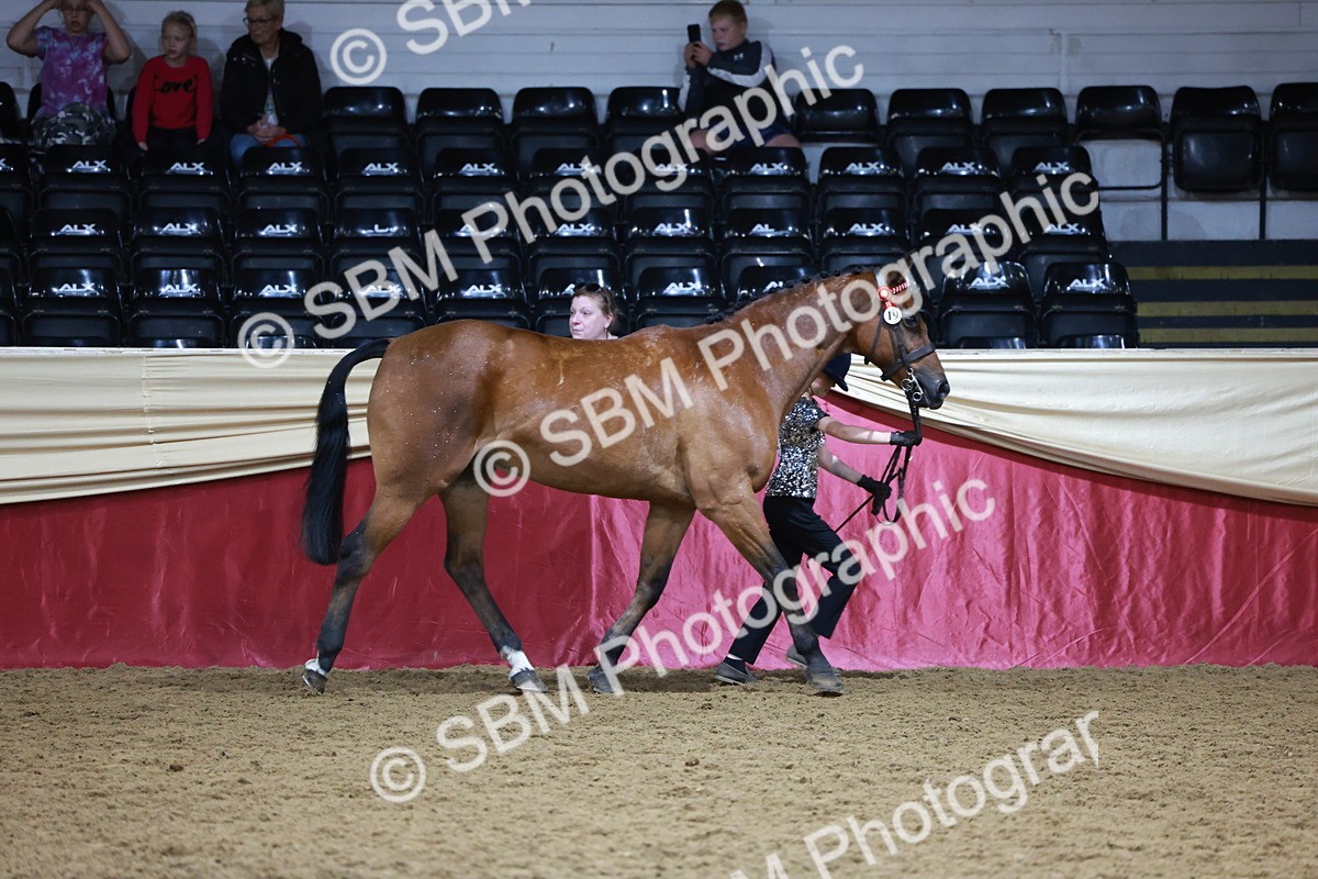 SBM_19998 - Class B - Junior Champ 11yr to 16 Years