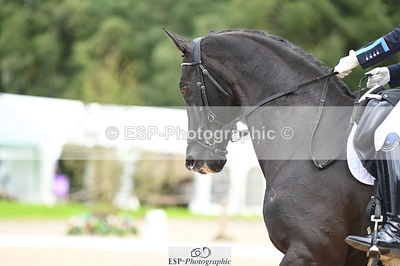 230813-122828-07076 - Cls 13 Medium Bronze Start to 13.00 break