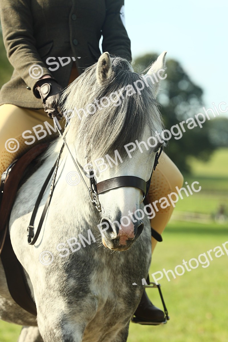 SBM_59893 - S38 - Starters Ridden Showing