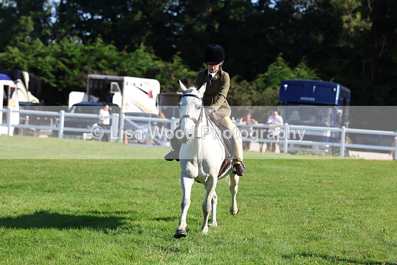 3E7A7655 - Class 1: Novice Working Hunter Pony