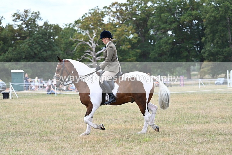 WJ7_4977 - Class 12 Ridden Cob