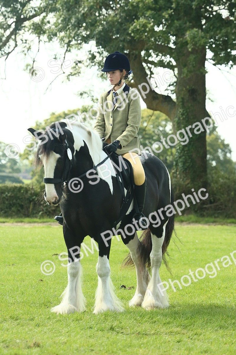SBM_67564 - S56 - Coloured Pony Ridden