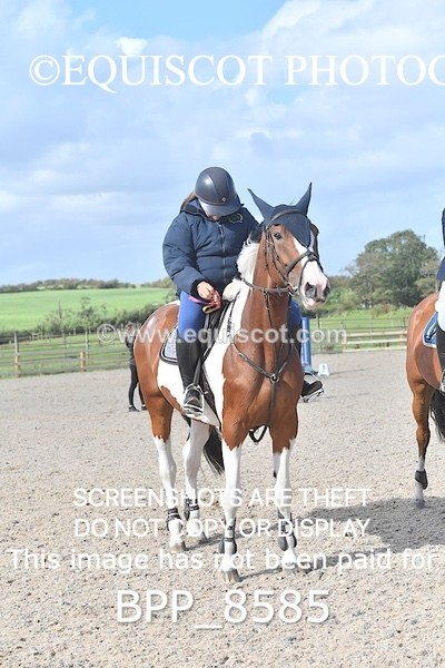BPP_8585 - CLASS 38 SUN Senior Newcomers/ 1.10m Open