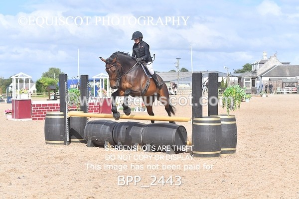 BPP_2443 - DERBY CLASS 7 - 80CM