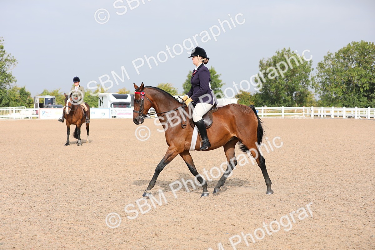 SBM_10902 - Class 304 Ridden Part Bred Horse/Pony