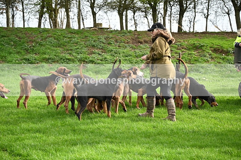 WJ6_9198 - Line Three